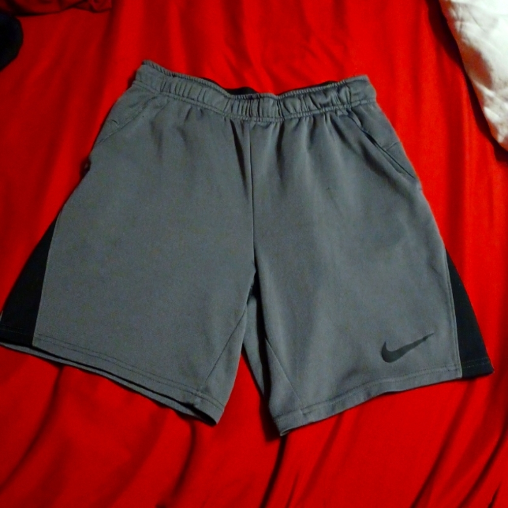Nike Dry Fit, Standard Fit Shorts, Gray, Small